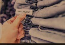 The Triumph of Vegan Fashion In 2024